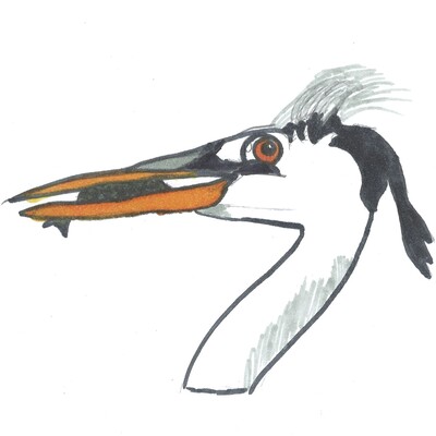 jauresDijonCECM
